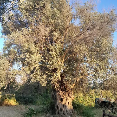 Hébergement de vacances Casa Terra Kremastí